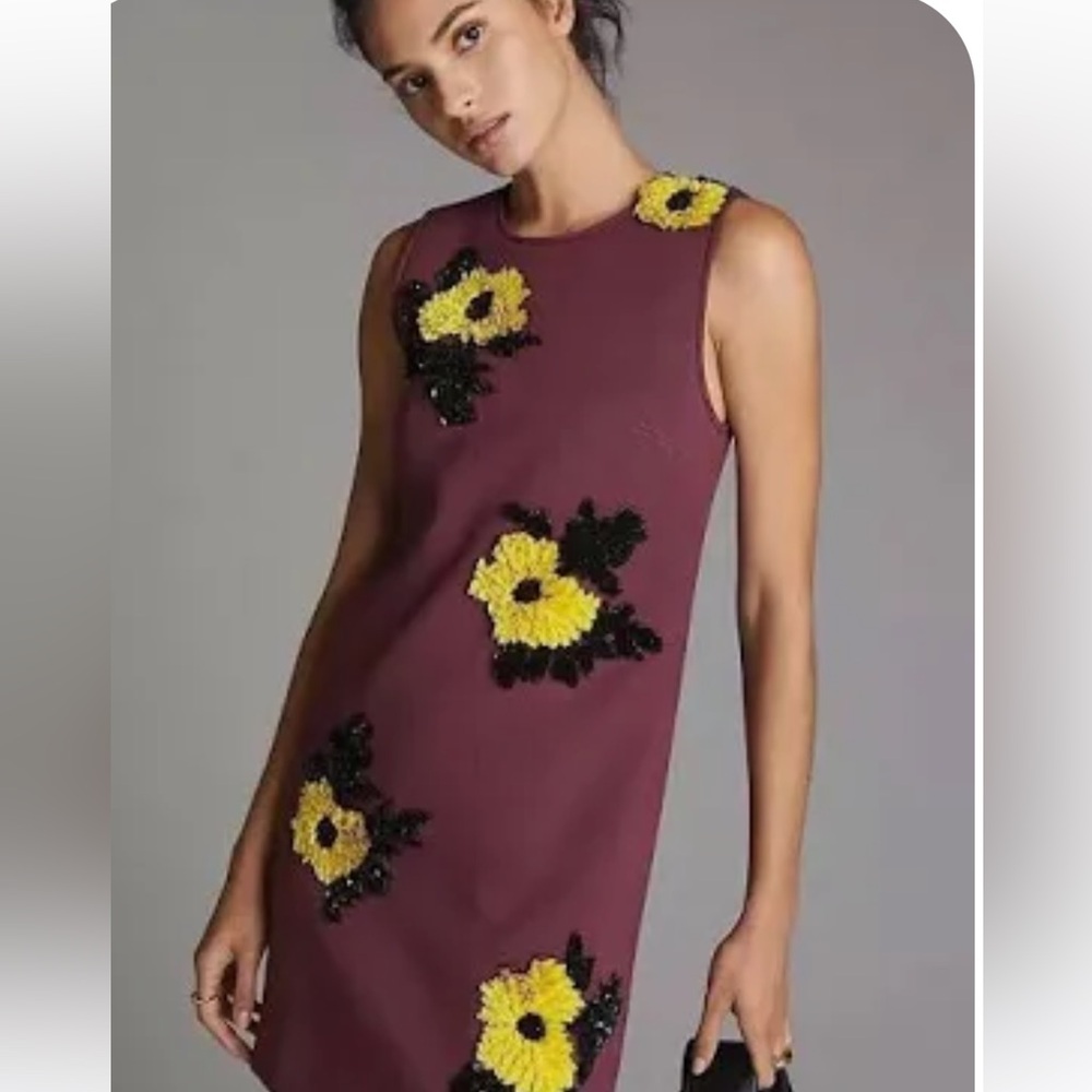NWT Anthropologie Shift Dress Dhruv Kapoor